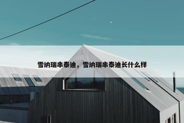 雪纳瑞串泰迪，雪纳瑞串泰迪长什么样