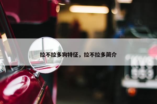 拉不拉多狗特征，拉不拉多简介