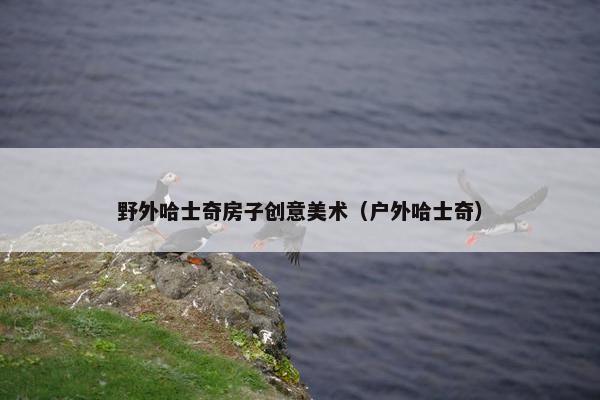 野外哈士奇房子创意美术（户外哈士奇）