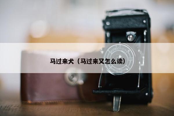马过来犬（马过来又怎么读）