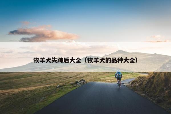 牧羊犬失踪后大全（牧羊犬的品种大全）