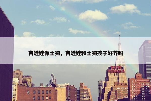 吉娃娃像土狗，吉娃娃和土狗孩子好养吗
