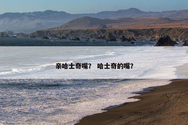 亲哈士奇嘴？ 哈士奇的嘴？
