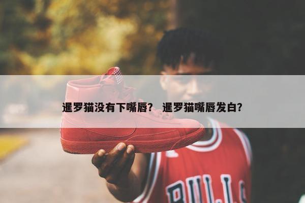 暹罗猫没有下嘴唇？ 暹罗猫嘴唇发白？
