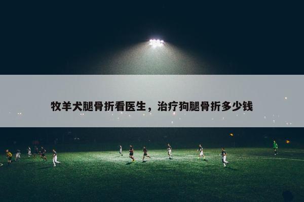 牧羊犬腿骨折看医生，治疗狗腿骨折多少钱
