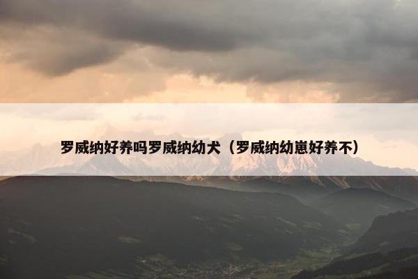 罗威纳好养吗罗威纳幼犬（罗威纳幼崽好养不）