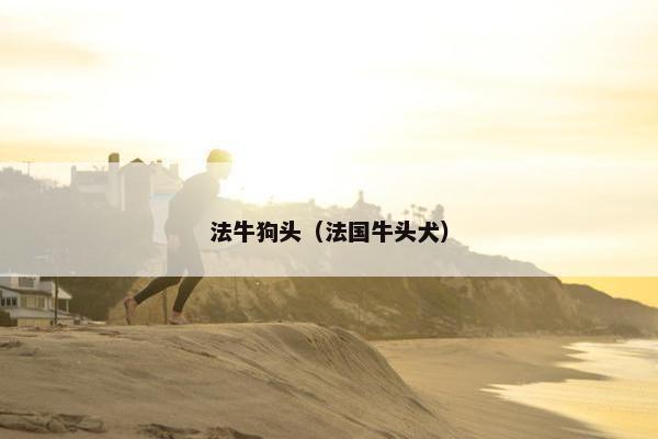 法牛狗头（法国牛头犬）