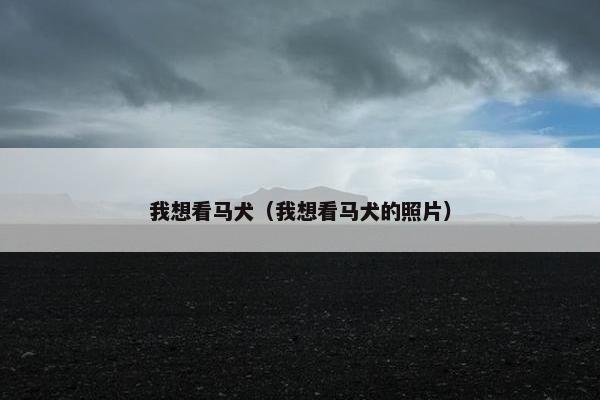 我想看马犬（我想看马犬的照片）