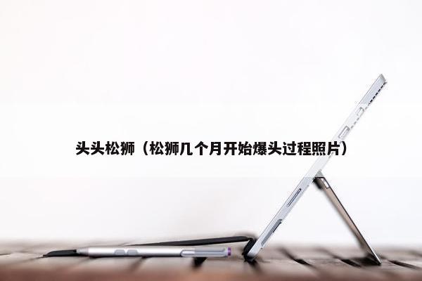 头头松狮（松狮几个月开始爆头过程照片）