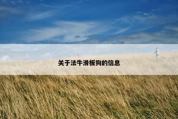关于法牛滑板狗的信息