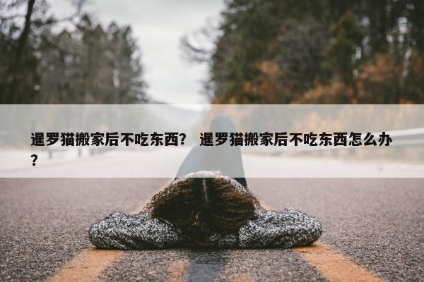 暹罗猫搬家后不吃东西？ 暹罗猫搬家后不吃东西怎么办？