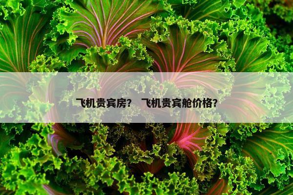 飞机贵宾房？ 飞机贵宾舱价格？