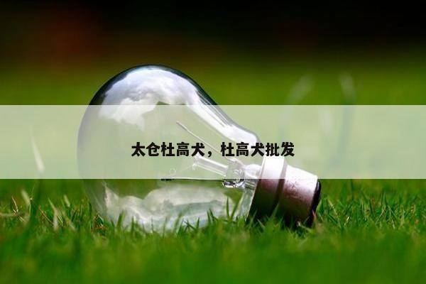 太仓杜高犬，杜高犬批发