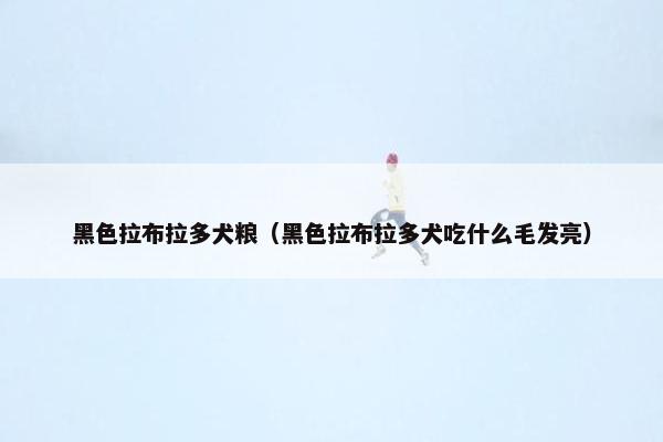 黑色拉布拉多犬粮（黑色拉布拉多犬吃什么毛发亮）