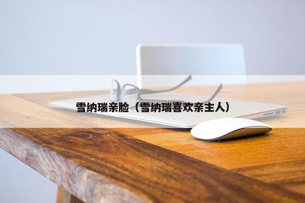 雪纳瑞亲脸（雪纳瑞喜欢亲主人）