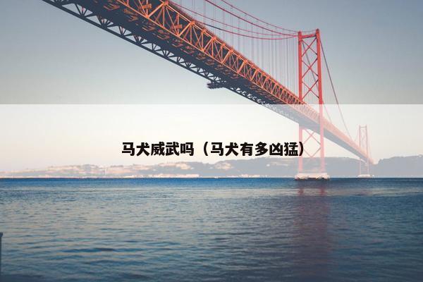 马犬威武吗（马犬有多凶猛）