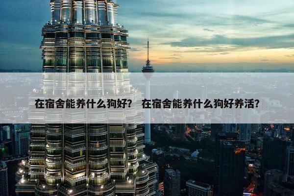 在宿舍能养什么狗好？ 在宿舍能养什么狗好养活？