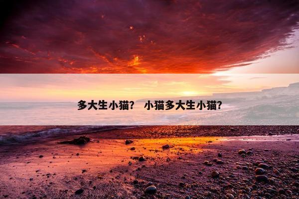 多大生小猫？ 小猫多大生小猫？