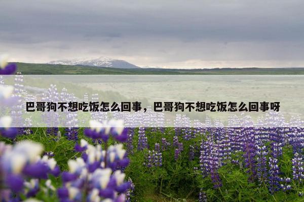 巴哥狗不想吃饭怎么回事，巴哥狗不想吃饭怎么回事呀