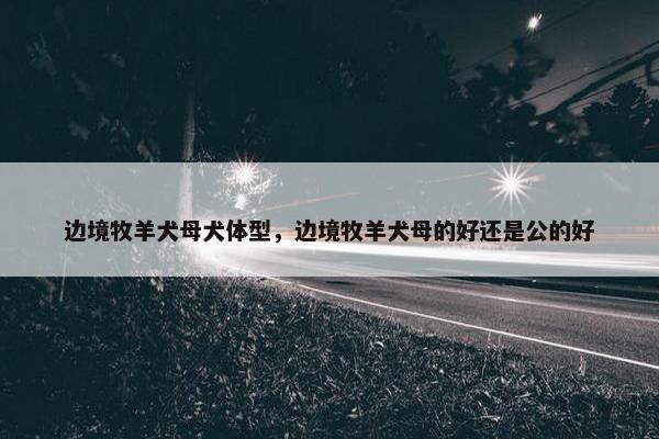 边境牧羊犬母犬体型，边境牧羊犬母的好还是公的好
