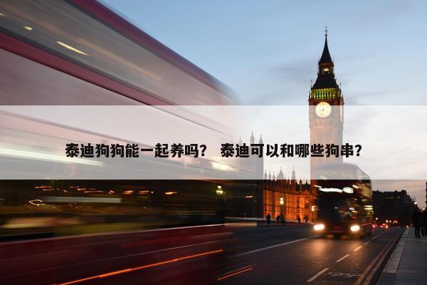 泰迪狗狗能一起养吗？ 泰迪可以和哪些狗串？