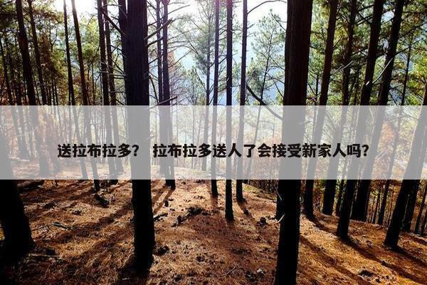 主人 第56页