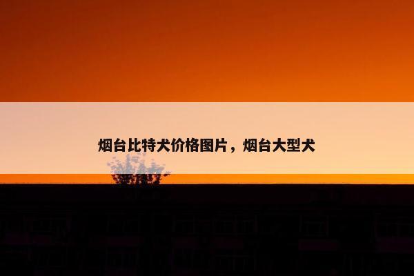 烟台比特犬价格图片，烟台大型犬