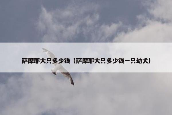 萨摩耶大只多少钱（萨摩耶大只多少钱一只幼犬）