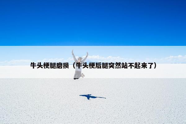 牛头梗腿磨损（牛头梗后腿突然站不起来了）