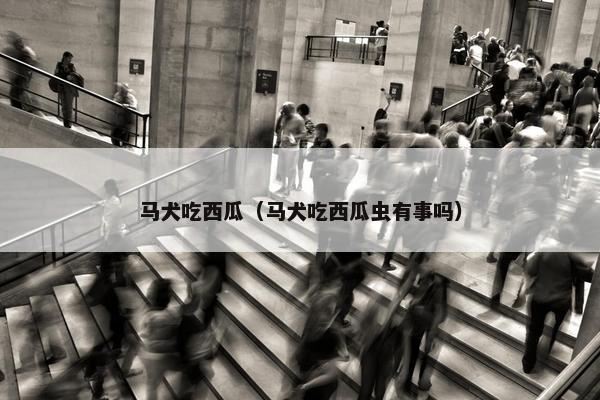 蔬果