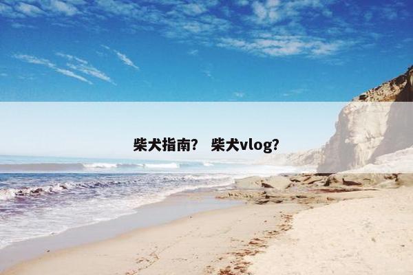 柴犬指南？ 柴犬vlog？