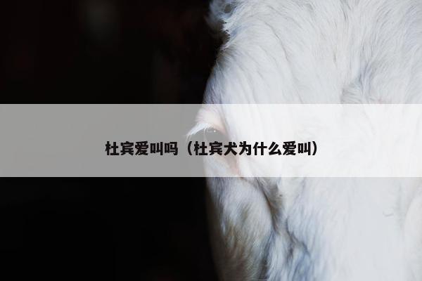 杜宾爱叫吗（杜宾犬为什么爱叫）