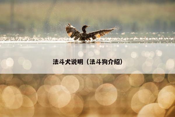 法斗犬说明（法斗狗介绍）