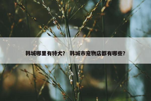 宝鸡市