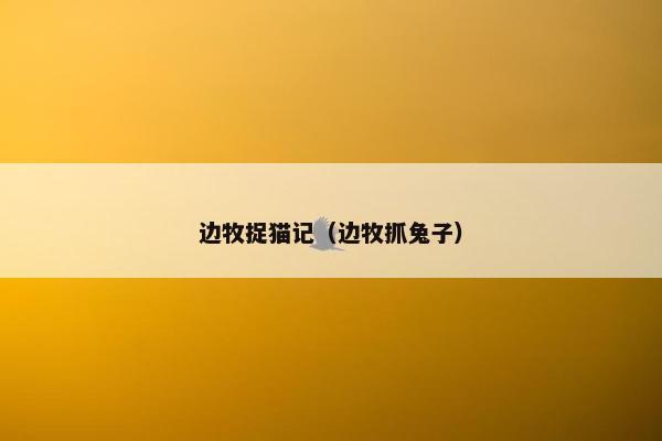 边牧捉猫记（边牧抓兔子）