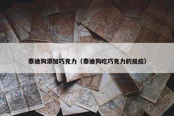 泰迪狗添加巧克力（泰迪狗吃巧克力的反应）