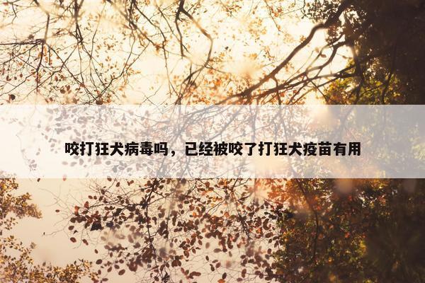 咬打狂犬病毒吗，已经被咬了打狂犬疫苗有用