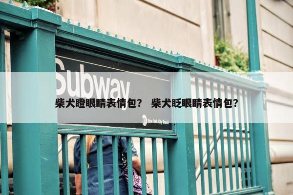 柴犬瞪眼睛表情包？ 柴犬眨眼睛表情包？