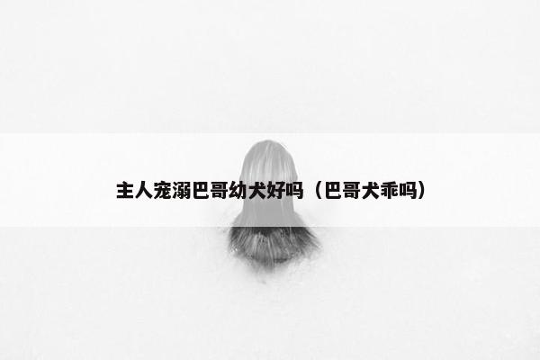 主人宠溺巴哥幼犬好吗（巴哥犬乖吗）