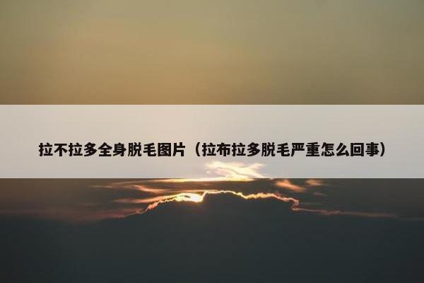拉不拉多全身脱毛图片（拉布拉多脱毛严重怎么回事）