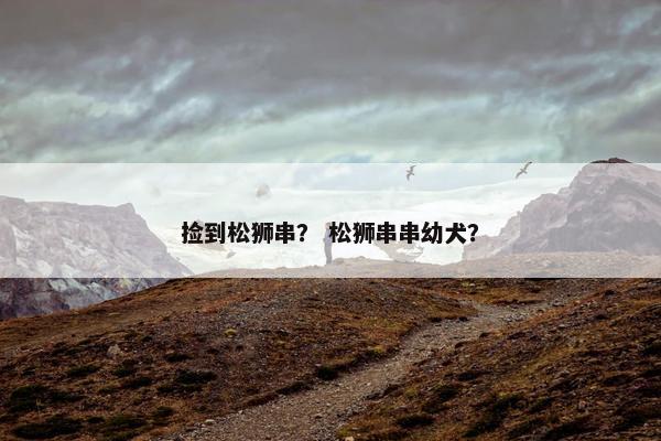 捡到松狮串？ 松狮串串幼犬？