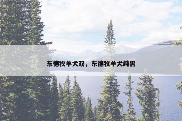 东德牧羊犬双，东德牧羊犬纯黑