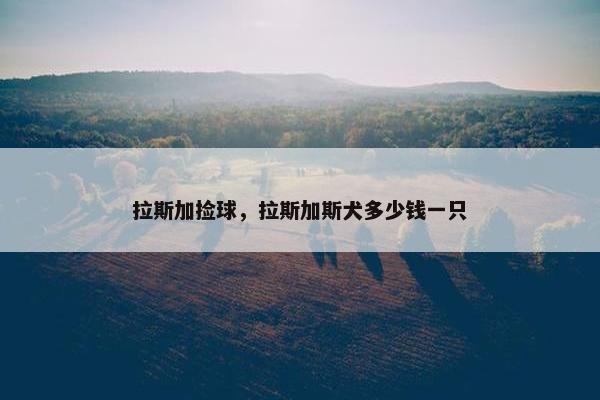 拉斯加捡球，拉斯加斯犬多少钱一只