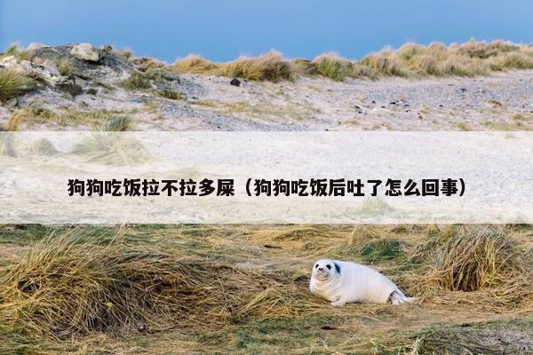 狗狗吃饭拉不拉多屎（狗狗吃饭后吐了怎么回事）