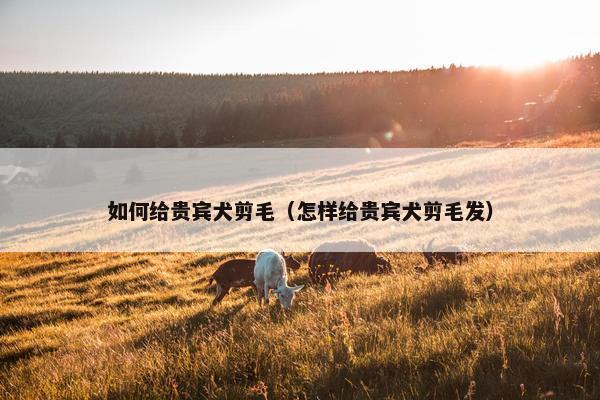 修剪 第8页