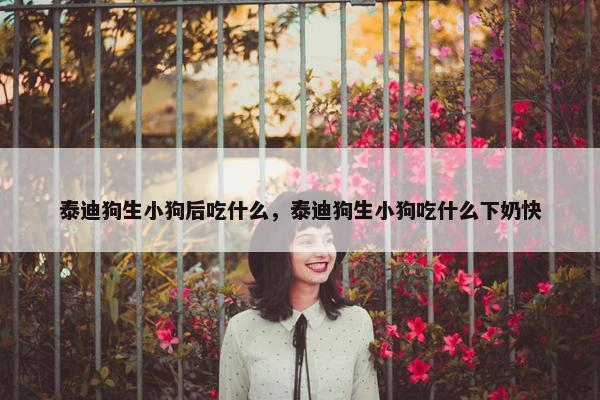 泰迪狗生小狗后吃什么，泰迪狗生小狗吃什么下奶快