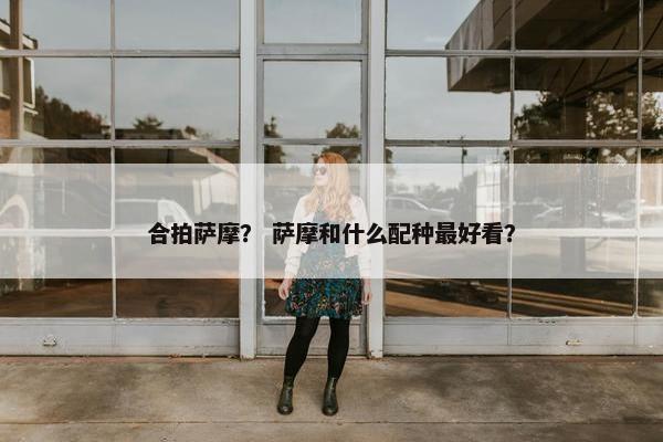 合拍萨摩？ 萨摩和什么配种最好看？