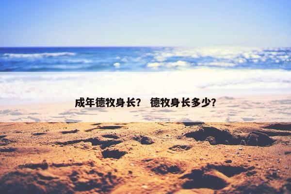 成年德牧身长？ 德牧身长多少？