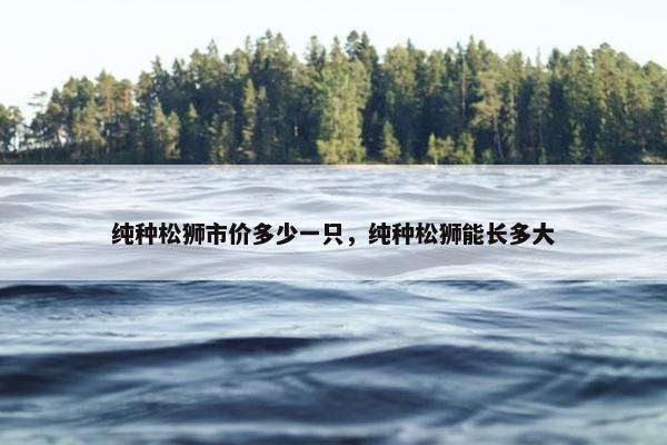 纯种松狮市价多少一只，纯种松狮能长多大