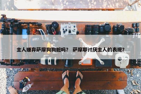 主人嫌弃萨摩狗狗脏吗？ 萨摩耶讨厌主人的表现？